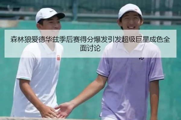 森林狼爱德华兹季后赛得分爆发引发超级巨星成色全面讨论