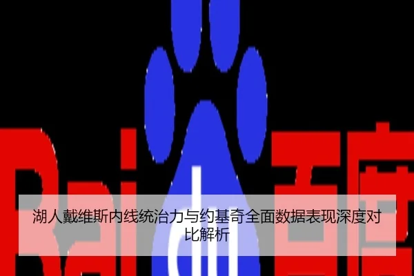 湖人戴维斯内线统治力与约基奇全面数据表现深度对比解析